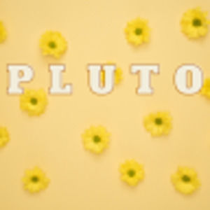 Meet your Posher, Kara